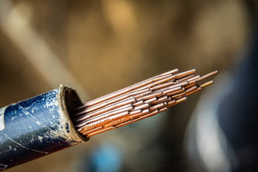 Augel-2020-116-OGE-Remagen-Kripp