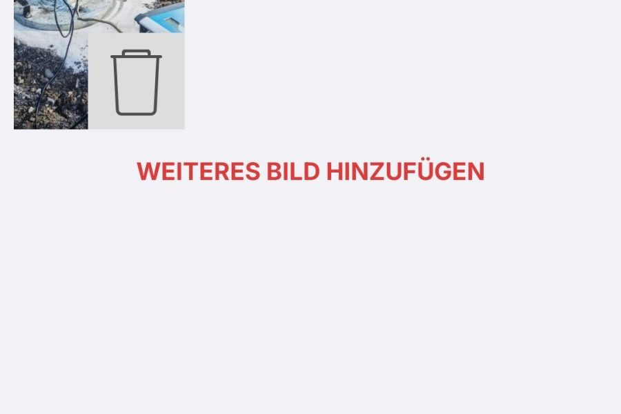 Bild der Störung